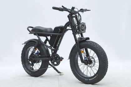 Ebike,750W Motor,48V15.6Ah Battery,20 Inches,Maximum Speed 45KM